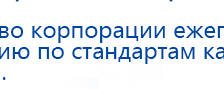 Электрод Скэнар - лицевой двойной Пешки купить в Фрязине, Электроды Скэнар купить в Фрязине, Медицинская техника - denasosteo.ru