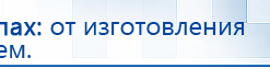 Электрод Скэнар - лицевой двойной Пешки купить в Фрязине, Электроды Скэнар купить в Фрязине, Медицинская техника - denasosteo.ru